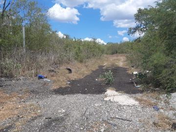 RANCHO EN VENTA EJIDO ESTEROS ALTAMIRA
