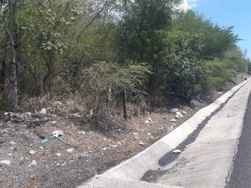 RANCHO EN VENTA EJIDO ESTEROS ALTAMIRA
