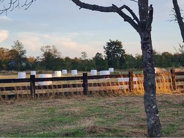 Linda casa en parcela en La Reserva Frutillar