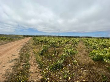 Parcela en terreno plano con maravilloso bosque