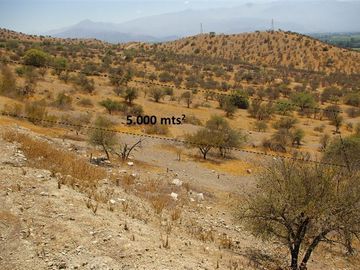 Parcela en Venta en Hacienda Rinconada de los Andes