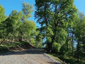 Parcela en Venta en Predio Santa Ema Gloria, ubicado en el sector Punta Negra, Ruta 181, Km 112,5,