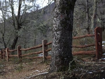 Parcela en Venta en Predio Santa Ema Gloria, ubicado en el sector Punta Negra, Ruta 181, Km 112,5,