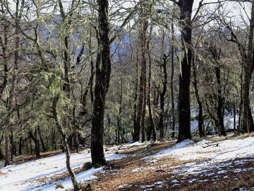 Parcela en Venta en Predio Santa Ema Gloria, ubicado en el sector Punta Negra, Ruta 181, Km 112,5,