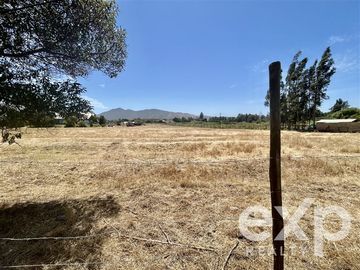 Parcela en Venta en Villa Alegre campo lindo, parcela 8