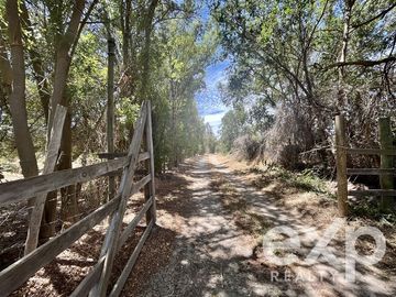 Parcela en Venta en Villa Alegre campo lindo, parcela 8