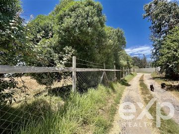 Parcela en Venta en Villa Alegre campo lindo, parcela 8