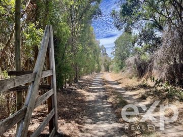 Parcela en Venta en Villa Alegre campo lindo, parcela 8