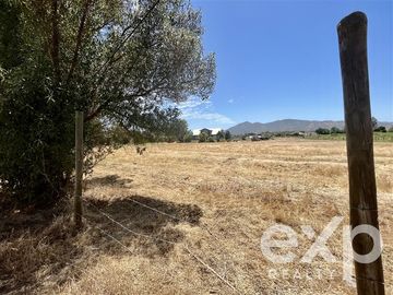 Parcela en Venta en Villa Alegre campo lindo, parcela 8