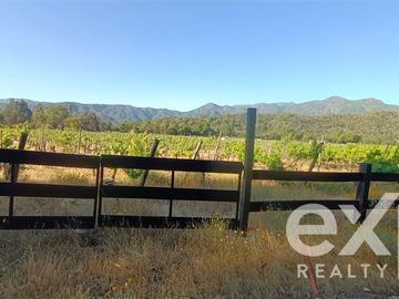 Parcela en Venta en tapihue