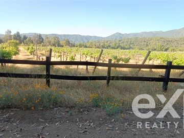 Parcela en Venta en tapihue