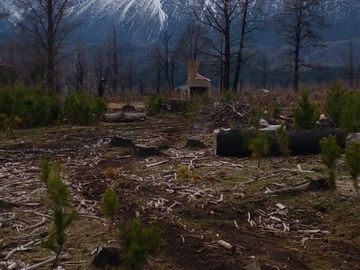 Chacra en  Las Golondrinas - Chubut