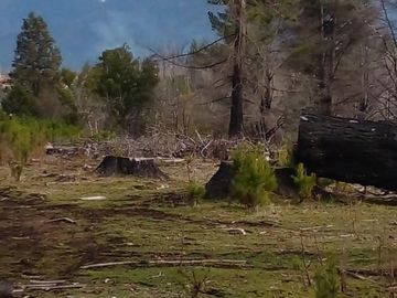 Chacra en  Las Golondrinas - Chubut