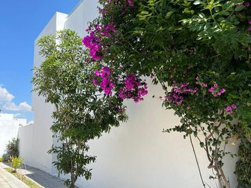 Casa en  venta en Lomas de Angelopolis Parque Quintana Roo, Puebla.