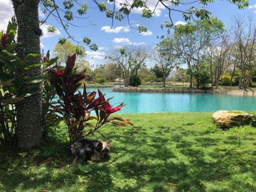 CASA EN VENTA MERIDA PRIVADA ALTOZANO CON AMENIDADES
