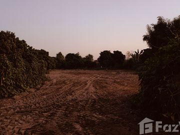 Land for sale in Nong Han, Chiang Mai