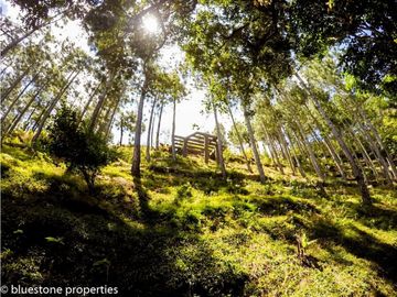 CASA DE CAMPO EN ALTOS DEL MARIA 2378MT cv
