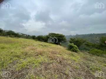 TERRENO DE VENTA EN TUMBACO SECTOR CHICHE