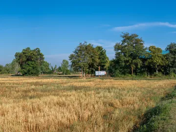 2 Bedroom House for sale in Nong Nam Sai, Khon Kaen