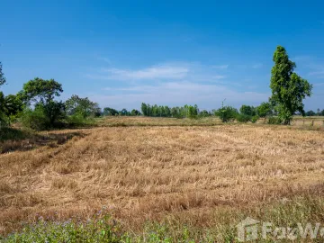 2 Bedroom House for sale in Nong Nam Sai, Khon Kaen