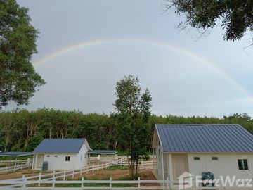 2 Bedroom House for sale in Klaeng, Rayong