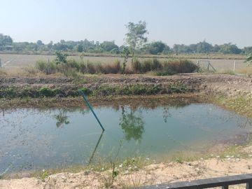 Land for sale in Bang O, Nakhon Nayok