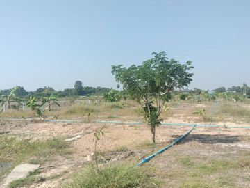 Land for sale in Bang O, Nakhon Nayok