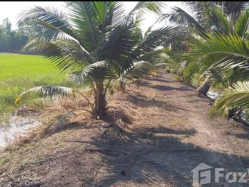 Land for sale in Bueng Ba, Pathum Thani