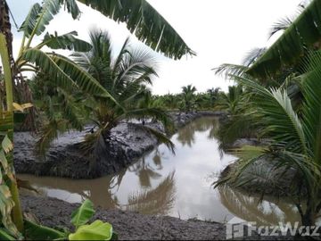 Land for sale in Bueng Ba, Pathum Thani