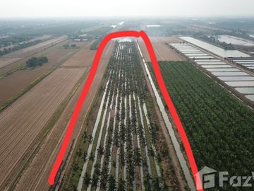 Land for sale in Bueng Ba, Pathum Thani