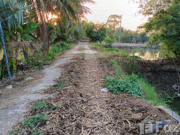 Land for sale in Bueng Ba, Pathum Thani