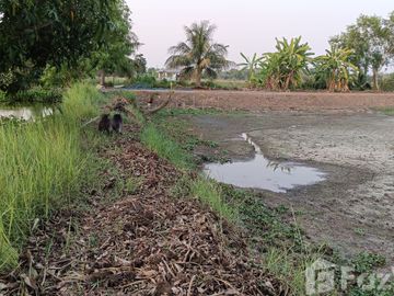 Land for sale in Bueng Ba, Pathum Thani