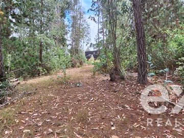 Parcela en Venta en Parcela, Fundo Millaco Cahuil, Pichilemu