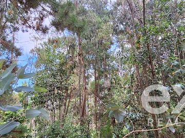 Parcela en Venta en Parcela, Fundo Millaco Cahuil, Pichilemu