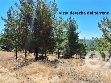 Sitio en Venta en Fundo Alto Boyeruca lote 33