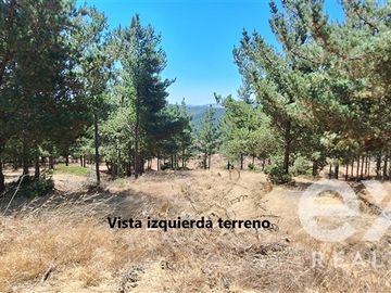 Sitio en Venta en Fundo Alto Boyeruca lote 33