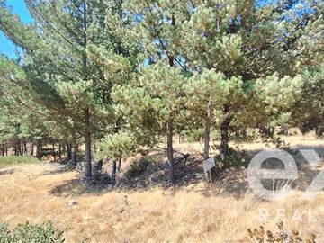 Parcela en Venta en Fundo Alto Boyeruca lote 33