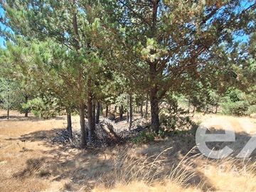 Parcela en Venta en Fundo Alto Boyeruca lote 33