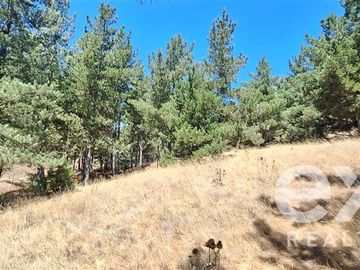 Parcela en Venta en Fundo Alto Boyeruca lote 33