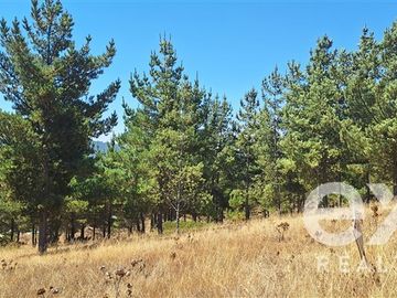 Parcela en Venta en Fundo Alto Boyeruca lote 33