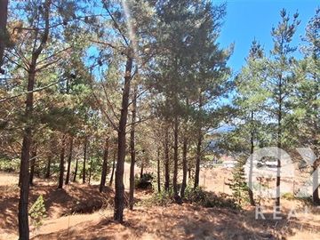 Parcela en Venta en Fundo Alto Boyeruca lote 33