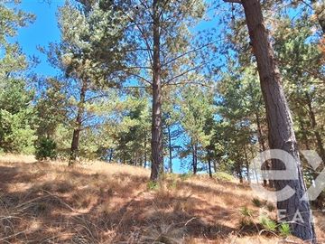 Parcela en Venta en Fundo Alto Boyeruca lote 33