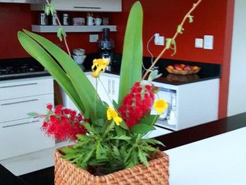 VENTA DE CASA DE 4 DORMITORIOS EN CAMPOS DE ROCA