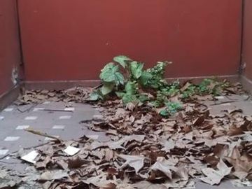 Casa en venta Chacabuco- Banfield