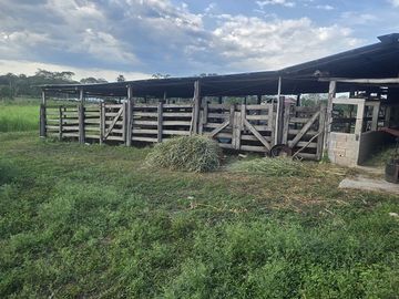 ¡Excelente Rancho con Cenote en venta! Tizimin, Yucatán.