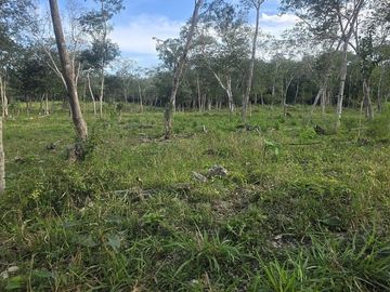 ¡Excelente Rancho con Cenote en venta! Tizimin, Yucatán.