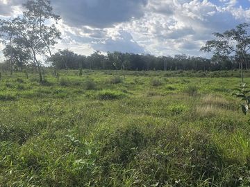 ¡Excelente Rancho con Cenote en venta! Tizimin, Yucatán.