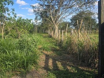 ¡Excelente Rancho con Cenote en venta! Tizimin, Yucatán.