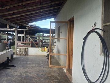 ¡Excelente Rancho con Cenote en venta! Tizimin, Yucatán.