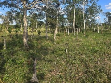 ¡Excelente Rancho con Cenote en venta! Tizimin, Yucatán.